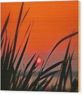Reservoir Sunset Wood Print