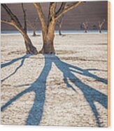 Return Of The Shadow Of The Camel Thorn - Dead Vlei Photograph Wood Print