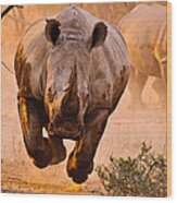 Rhino Learning To Fly Wood Print