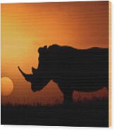 Rhino Sunrise Wood Print