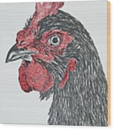 Rhode Island Red Chicken Wood Print