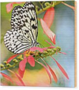 Rice Paper Butterfly In The Garden Wood Print