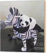 Riding A Zebra.traveling Pandas Series Wood Print