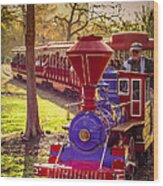 Riding Out Of The Sunset On The Hermann Park Train Wood Print