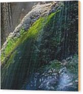 Rio En Medio Waterfall Wood Print
