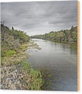 River In Ocala National Forest Florida Wood Print