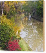 River With Autumn Colors Wood Print