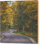 Road To Cave Point Wood Print