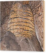 Rock Of Ages Carlsbad Caverns National Park Wood Print