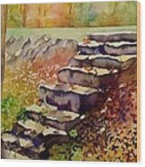 Rock Steps Wood Print