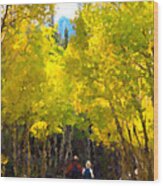 Rocky Mountain Hike Wood Print