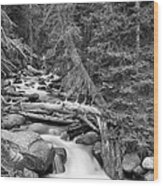 Rocky Mountain Stream In Black And White Wood Print