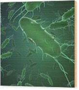 Rod-shaped Bacteria Wood Print