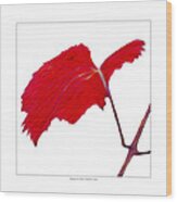 Roger's Red Grape Leaf Wood Print