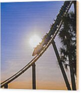 Roller Coaster Wood Print