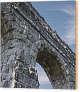 Roman Aqueducts Ii Wood Print