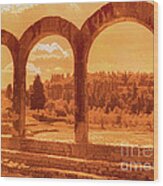 Roman Arches At Fiesole Wood Print