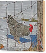 Rooster George Wood Print