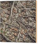 Roots Wood Print