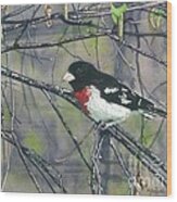 Rose-breasted Grosbeak Wood Print