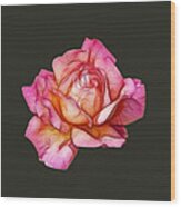 Rose By Any Other Name Wood Print