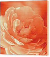 Rose Orange Wood Print