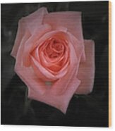 Rose Wood Print