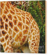 Rothschild Giraffe Wood Print