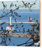 Round Island Lighthouse And Round Island Passage Light Wood Print