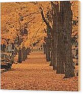 Rows Of Maples In Orange Wood Print