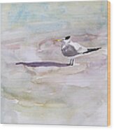 Royal Tern Wood Print
