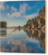 Ruby Beach Wood Print