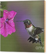 Ruby-throated Hummingbird - D004190 Wood Print