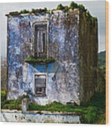 Ruins Of House Painted Blue Wood Print