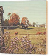 Rural Country Scene Wood Print