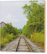 Rural Pa Train Tracks Wood Print