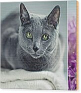 Russian Blue Collage Wood Print