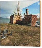 Rusted Whaling Ships Wood Print