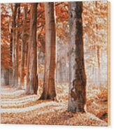 Rusty Autumn Wood Print