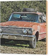 Rusty Impala Wood Print