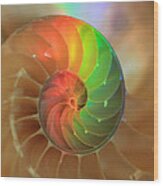 Sacred Spiral Rainbow Wood Print