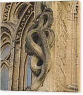 Sagrada Serpent Gargoyle Wood Print