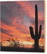 Saguaro Cactus At Sunset Wood Print