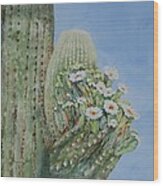 Saguaro Cactus In Bloom Wood Print