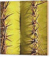 Saguaro Spines Wood Print