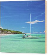 Sailboat And Caribbean Beach Wood Print