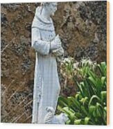 Saint Francis Of Assisi Statue At Mission San Jose In San Antonio Missions National Historical Park Wood Print