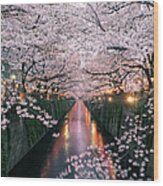 Sakura On Meguro River Wood Print