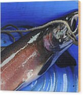 Salmon In Blue Wood Print
