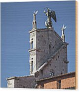 San Michele In Foro Back Side Wood Print